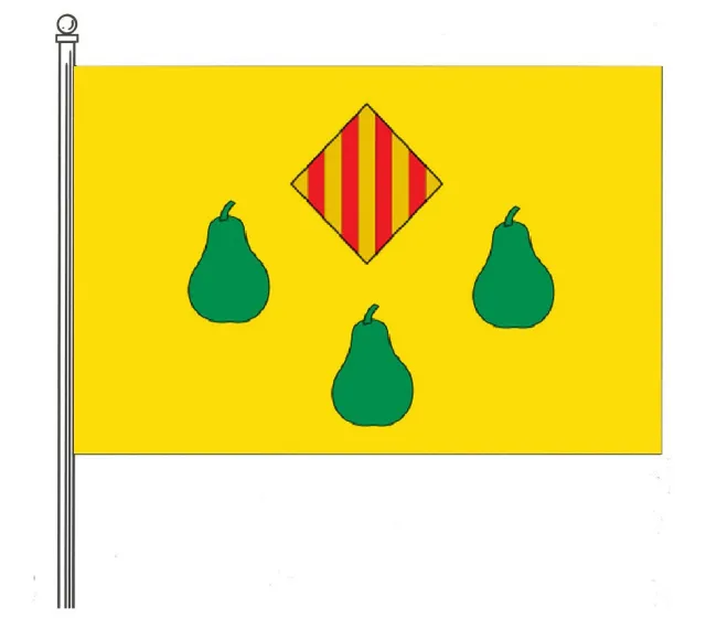 Bandera de Daya Nueva