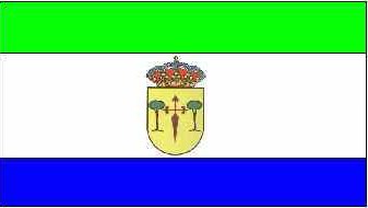 Bandera de Ricote