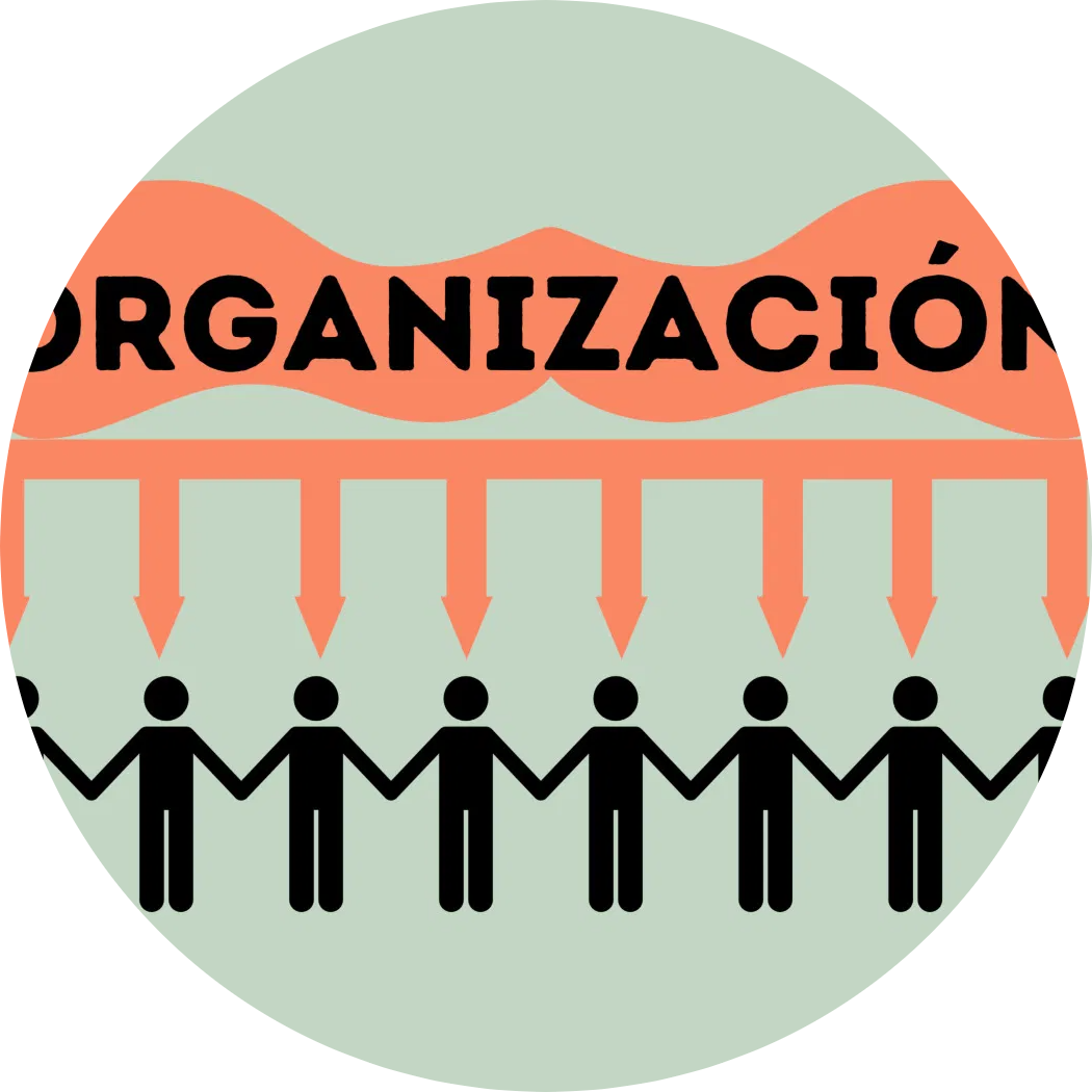 Organización en nuestros Servicios